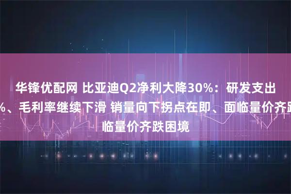华锋优配网 比亚迪Q2净利大降30%：研发支出增50%、毛利率继续下滑 销量向下拐点在即、面临量价齐跌困境