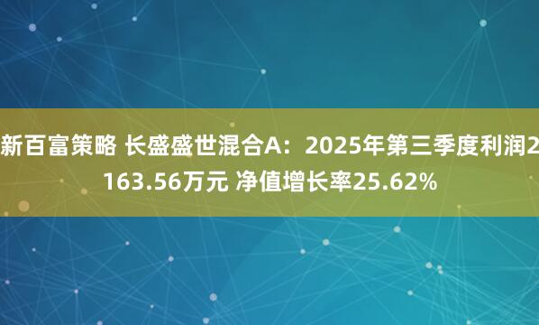 新百富策略 长盛盛世混合A：2025年第三季度利润2163.56万元 净值增长率25.62%
