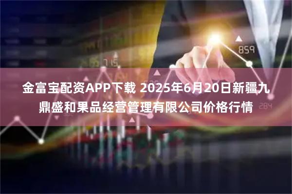 金富宝配资APP下载 2025年6月20日新疆九鼎盛和果品经营管理有限公司价格行情